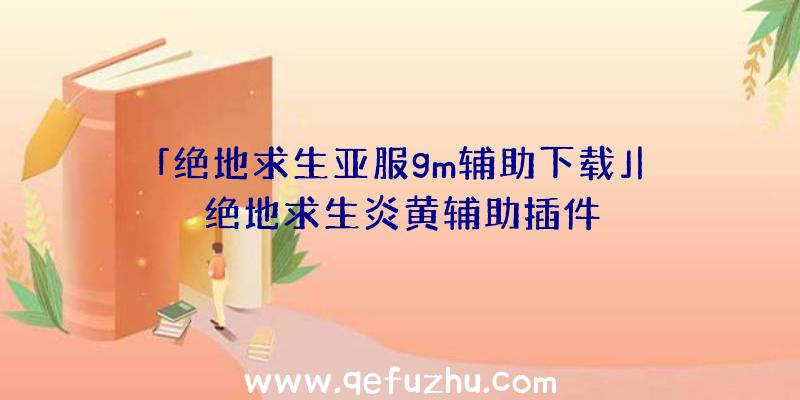 「绝地求生亚服gm辅助下载」|绝地求生炎黄辅助插件